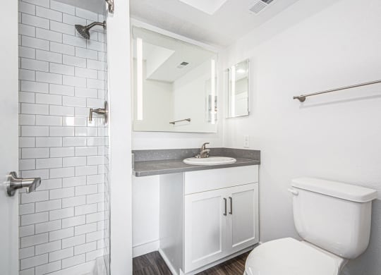 Second Bath with Walk-In Shower at The Crossings Apartments, Grand Rapids, Michigan