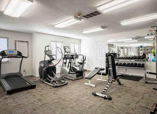 A well-equipped gym with treadmills, elliptical machines, and weightlifting equipment