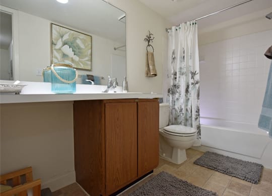 Bathroom at Windemere Apartments, Farmington Hills, Michigan