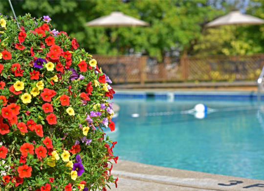 Sparkling Swimming Pool at Bristol Square & Golden Gate Apartments in Wixom, MI