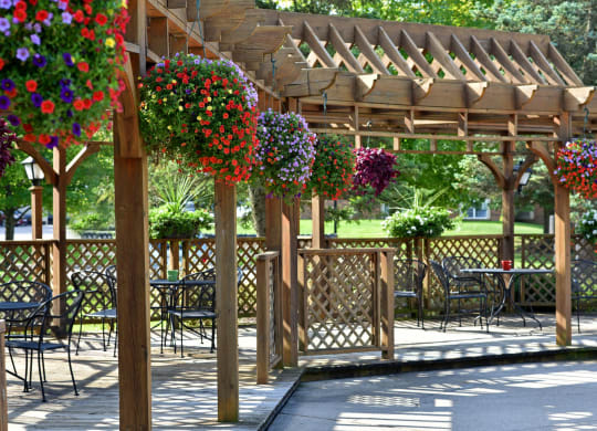 Expansive Sundeck with Pergola