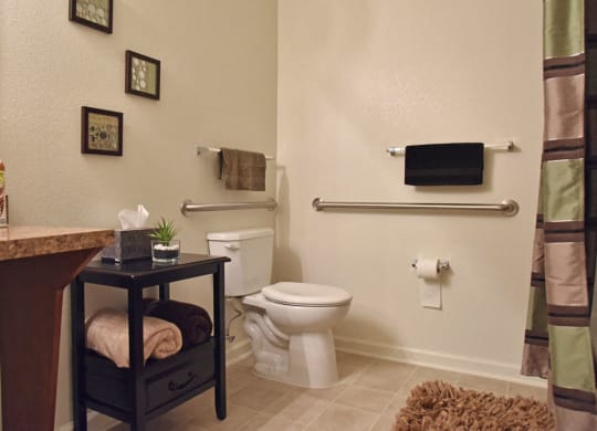Bathroom at Irene Woods Apartments, Collierville, TN, 38017