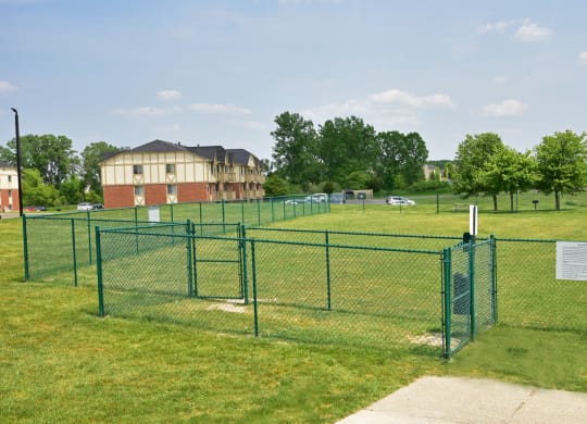 Let your Furry Friend run off-leash