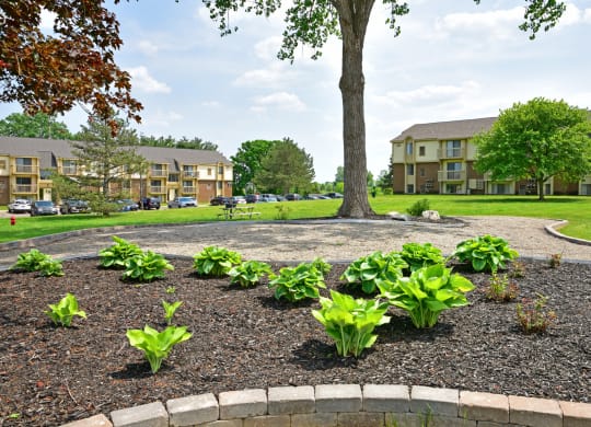 Green Space in Courtyard