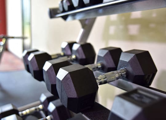 Free Weights at Fitness Center at Irene Woods Apartments, Tennessee, 38017