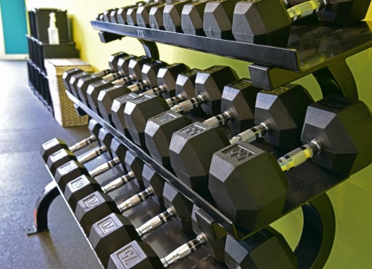 Free Weights In Gym at Badger Canyon, Kennewick, WA