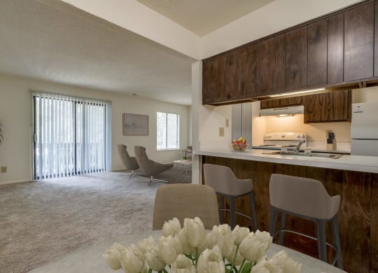 Marigold Deluxe Layout View of Living and Kitchen Areas at Lake in the Pines, NC