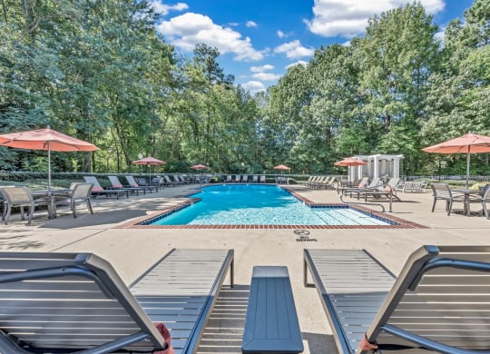 a swimming pool with lounge chairs and umbrellas at Trophy Club at Bellgrade, Midlothian, VA, 23113