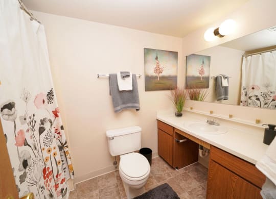 Updated Bathrooms at Emerald Park Apartments, Kalamazoo, 49001