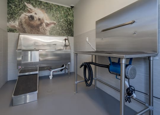 Pet Spa at Emerald Creek Apartments, Greenville, 29607
