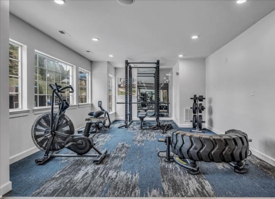 the gym at The Vinings Apartments in Richmond, VA