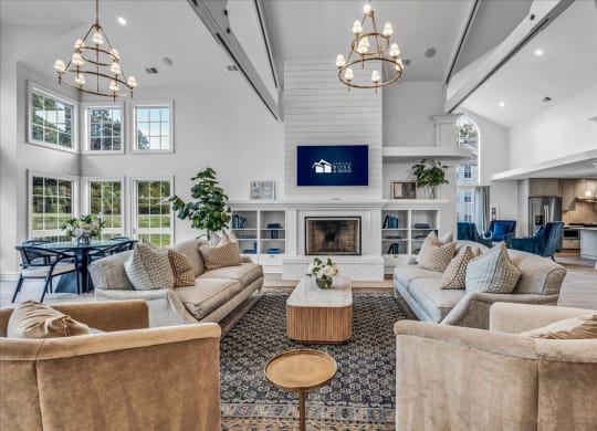 a living room with couches and chairs and a fireplace at The Vinings Apartments in Richmond, VA