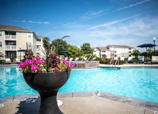 A large black pot with pink flowers sits in front of a swimming pool.