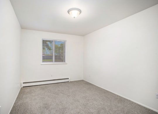 spacious bedroom with carpet and a window at Fairlane Apartments in Springfield, MI