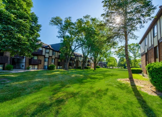 a green courtyard with mature shade trees at Fairlane Apartments, Springfield, MI, 49037