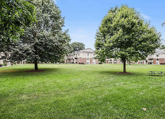 Courtyard with picnic table and mature shade trees at Fairlane Apartments, Michigan
