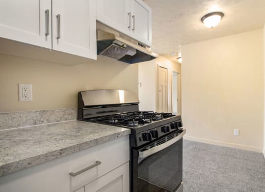 a kitchen with a gas stove and white cabinets at Old Farm Apartments, Elkhart, Indiana