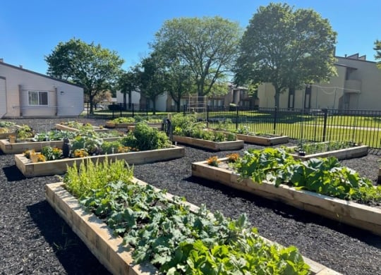 Community Gardens are available!