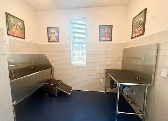 A pet spa with washing and drying areas at The Grove Apartment Homes, Lincoln, NE