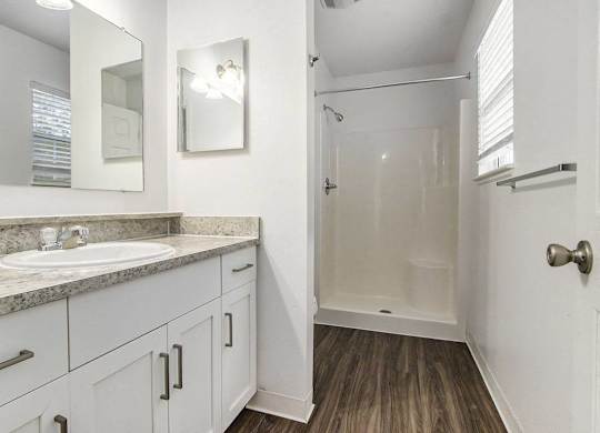 a second bathroom with a walk in shower at Gull Prairie/Gull Run Apartments and Townhomes, Kalamazoo