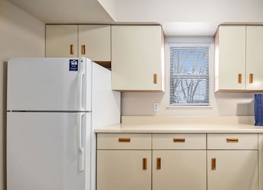 A white refrigerator in a kitchen with a window at Gull Prairie/Gull Run Apartments and Townhomes, Kalamazoo, 49048