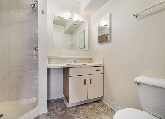 second bathroom with a walk in shower at Gull Prairie/Gull Run Apartments and Townhomes, Kalamazoo, MI