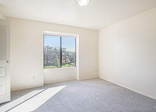 spacious bedroom with a large window and carpet at Gull Prairie/Gull Run Apartments and Townhomes, Kalamazoo, MI