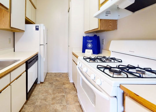 Gas Range and Dishwasher In Kitchen at Hampton Lakes Apartments, Walker, MI