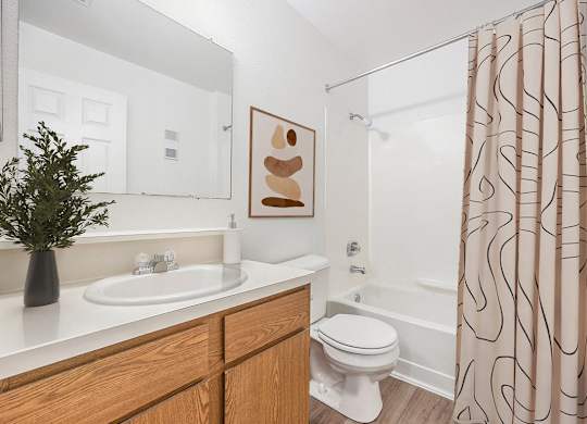 a bathroom with a shower curtain and a sink at Hampton Lakes Apartments, Michigan, 49534
