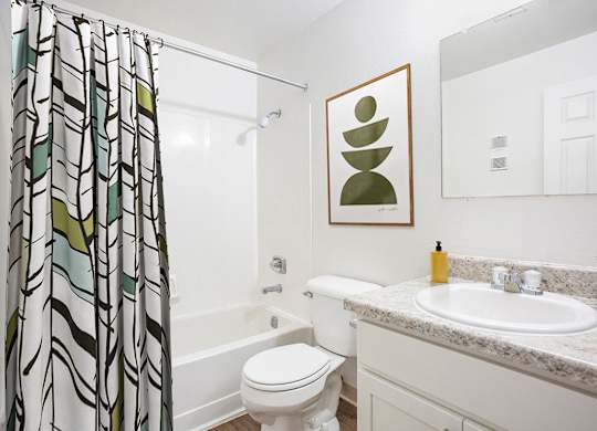 An upgraded bathroom with a toilet, a sink, and a shower curtain at Hampton Lakes Apartments, Michigan, 49534