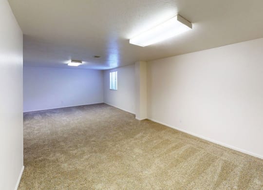 Basement recreation room with plush carpet