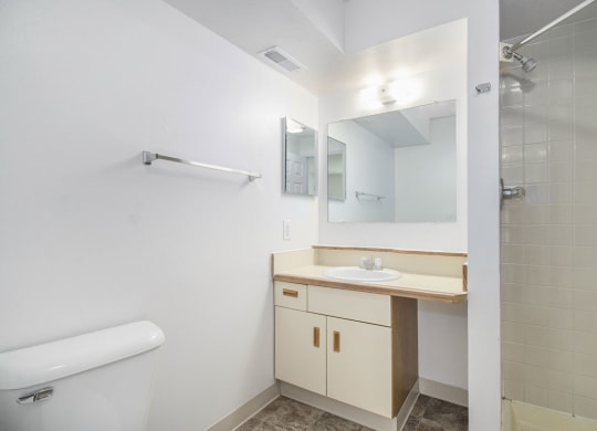 Second Bathroom with Shower at Hurwich Farms Apartments in South Bend, IN