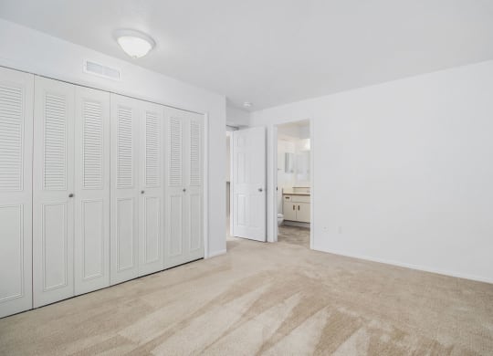 Large Closets at Hurwich Farms Apartments, South Bend