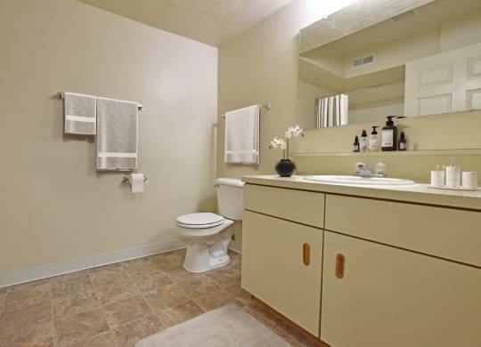 Bathroom at Heatherwood Apartments, Grand Blanc