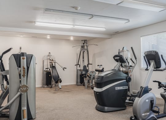 a gym with cardio machines and other exercise equipment at Polo Run Apartments, Greenwood, 46142