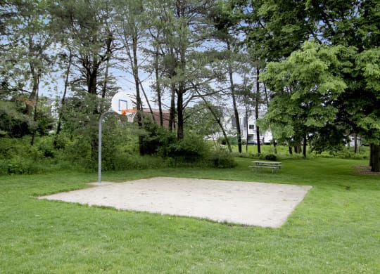 Outdoor Basketball Court at Indian Lakes Apartments, Indiana