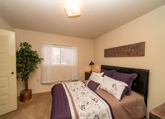 a bedroom with a window and a walk-in closet at Indian Lakes Apartments, Indiana