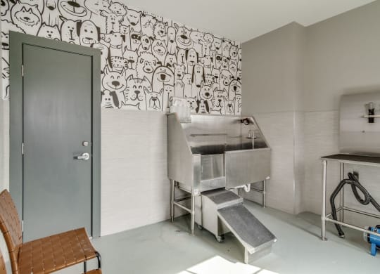Dog Spa at 24 at Bloomfield, Bloomfield Hills, 48302
