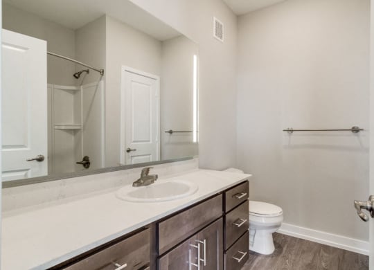 Bathroom (Hickory) at Village Place Apartments, Romeoville, 60446
