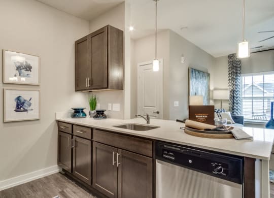 Kitchen (Cedar) at Village Place Apartments, Romeoville, 60446