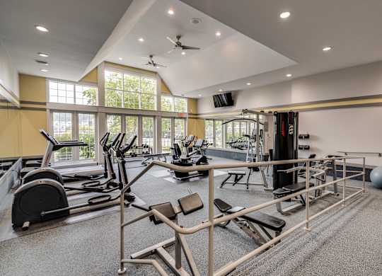 A spacious gym with a variety of equipment including treadmills, weights, and a squat rack at Westlake Apartments, Michigan