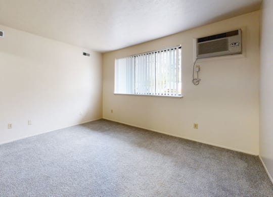 One bedroom classic living room with plush carpet and a window at Irish Hills Apartments, South Bend, IN