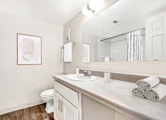 An upgraded bathroom with a toilet, sink, and large vanity with a mirror at Irish Hills Apartments, South Bend, Indiana