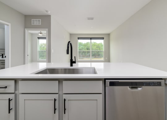a large white kitchen with a stainless steel dishwasher and sink at Ironwood Flats in Brandon, Florida 33511