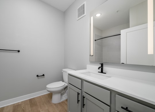a bathroom with a toilet and a sink and a mirror at Ironwood Flats in Brandon, Florida