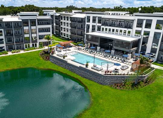 A large swimming pool is surrounded by a grassy area and a wall with lounge chairs at Ironwood Flats Apartments, Brandon, FL, 33511