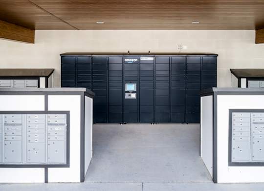 A black Amazon storage unit is in the middle of a room with two white storage units on the sides at Ironwood Flats Apartments, Florida, 33511