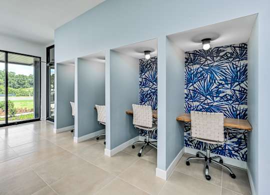 A room with blue walls and a patterned wallpaper at Ironwood Flats Apartments, Florida, 33511