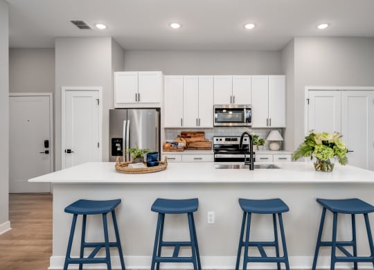 Open Kitchen at Ironwood Flats, Brandon, FL, 33511