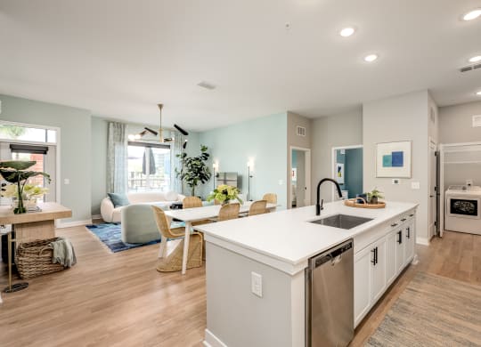 Modern Kitchen at Ironwood Flats, Brandon, Florida